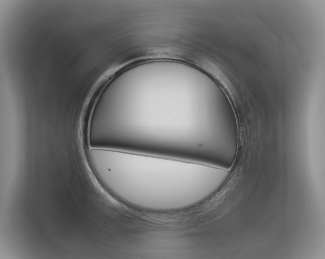 X0000112830995200908210935