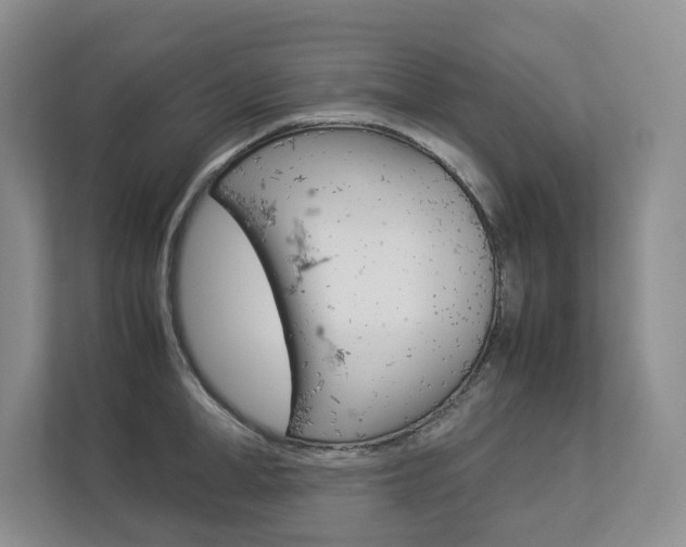 X0000112830998200908210935