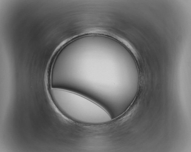 X0000112830999200908210935