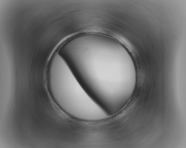 X0000112831000200908210935