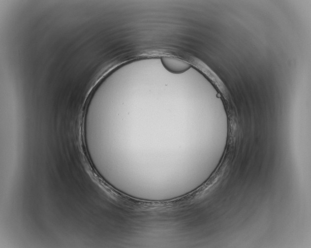 X0000112831002200908210935
