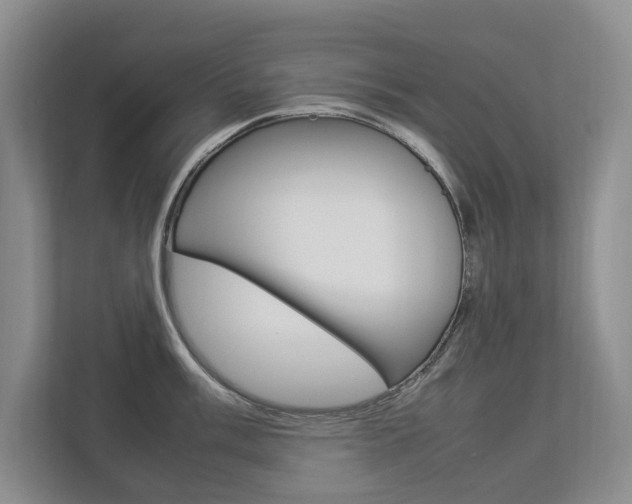 X0000112831003200908210935