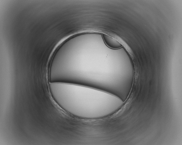 X0000112831004200908210935