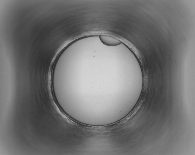 X0000112831006200908210935