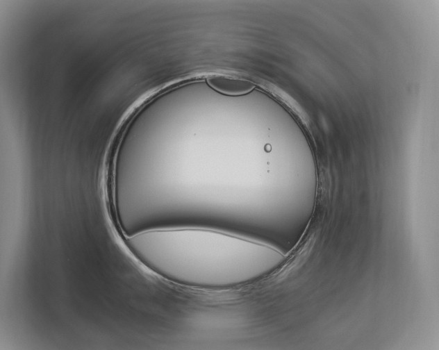 X0000112831007200908210935