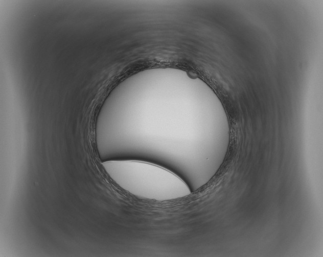 X0000112831009200908210934