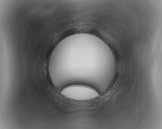 X0000112831010200908210934