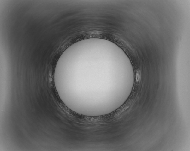 X0000112831011200908210934