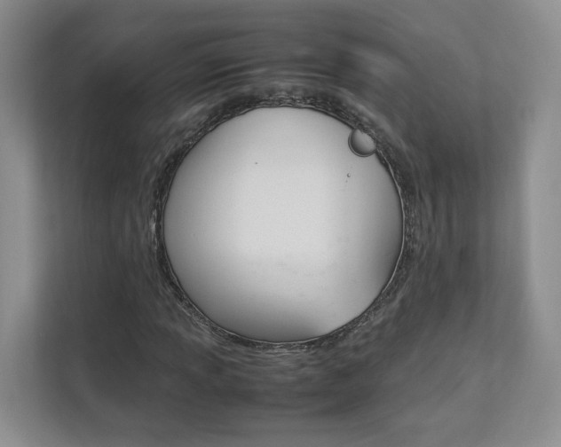 X0000112831013200908210934