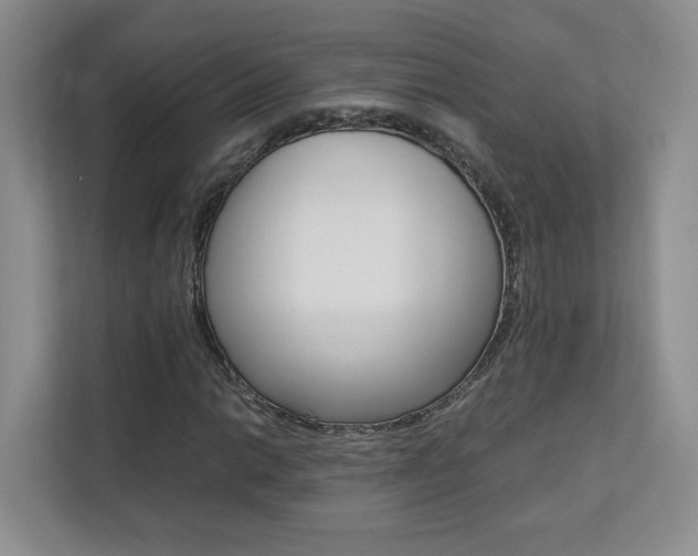 X0000112831014200908210934