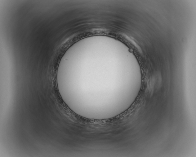 X0000112831015200908210934