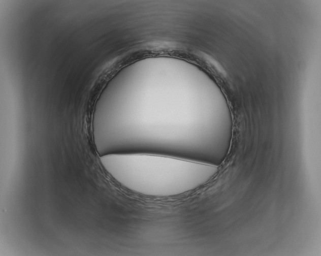 X0000112831016200908210934