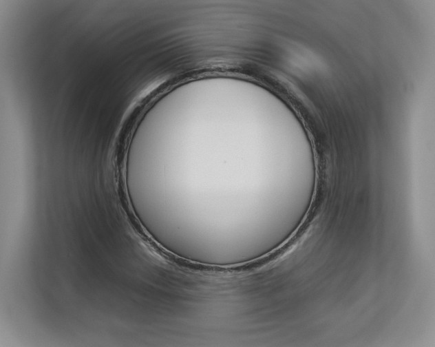 X0000112831018200908210934