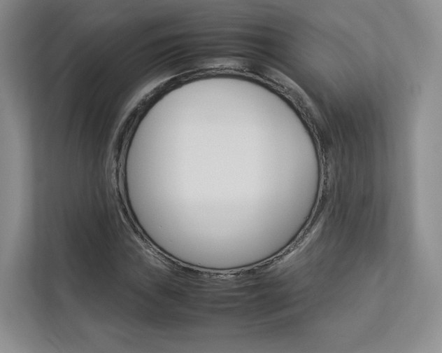 X0000112831019200908210934