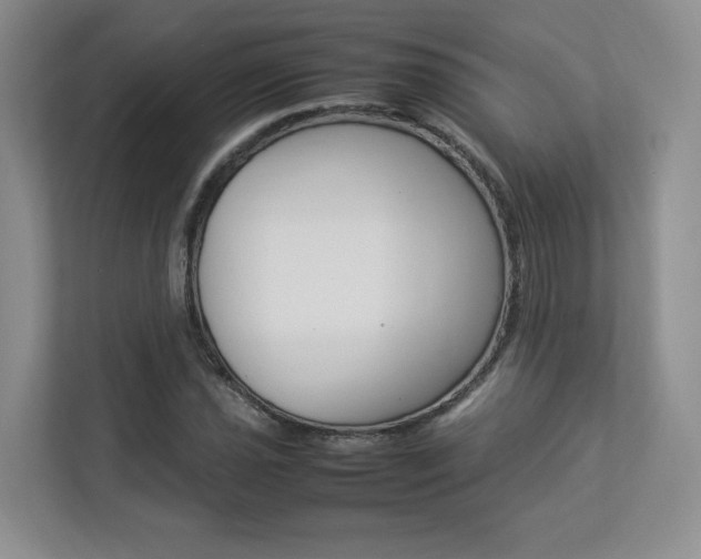 X0000112831021200908210934