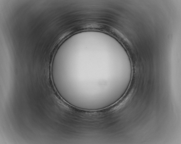 X0000112831025200908210934