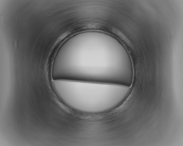 X0000112831026200908210934