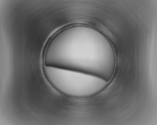 X0000112831028200908210934