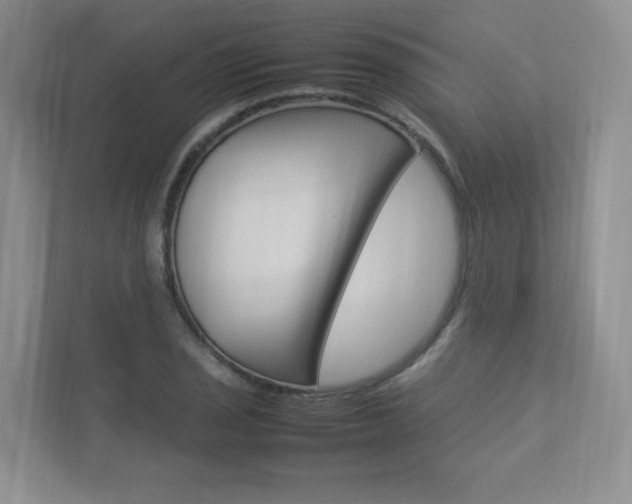 X0000112831029200908210934