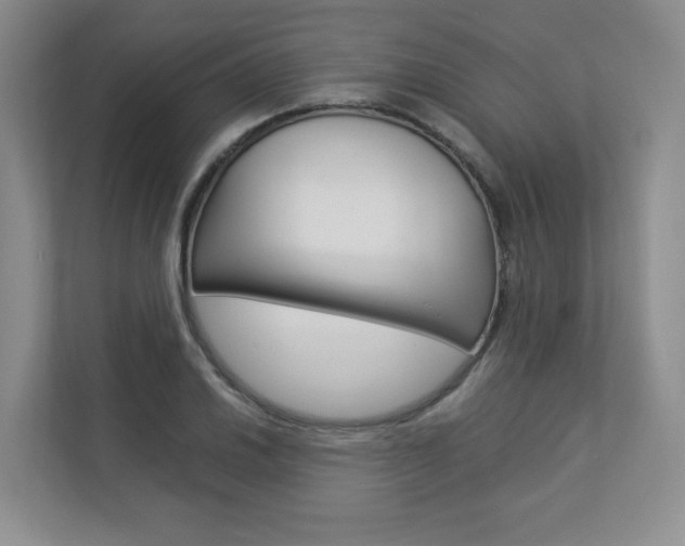 X0000112831030200908210934