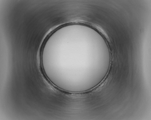 X0000112831032200908210934