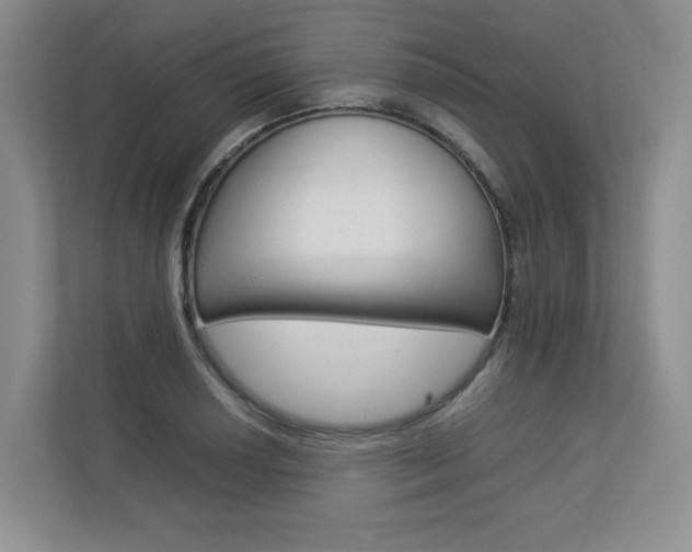 X0000112831034200908210934