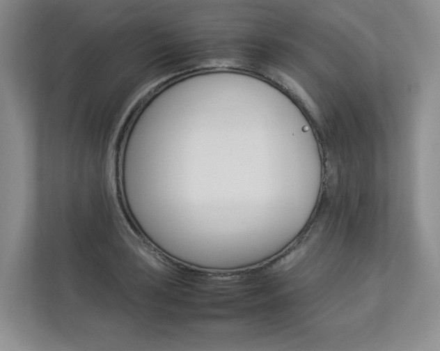 X0000112831035200908210934