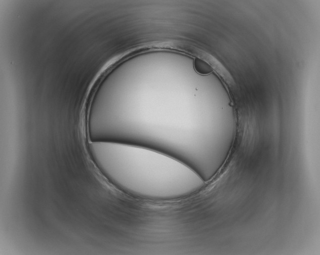 X0000112831036200908210934