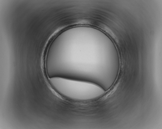 X0000112831037200908210935