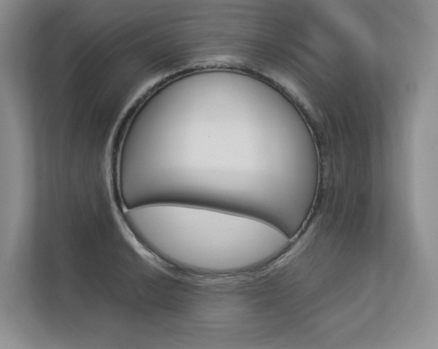 X0000112831038200908210935