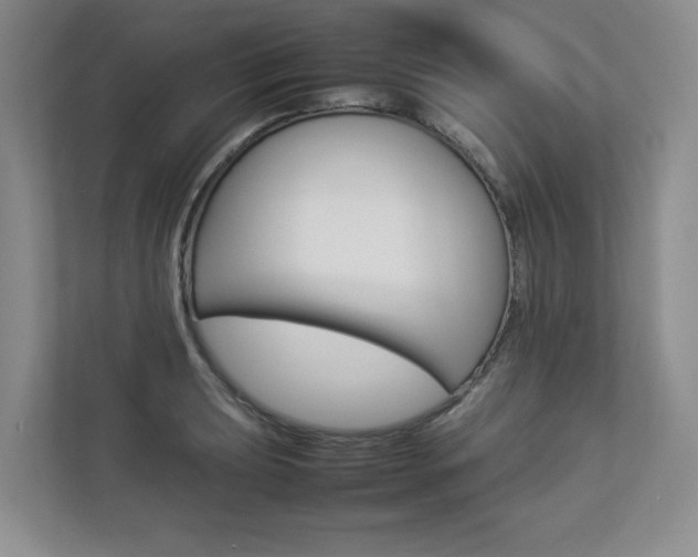 X0000112831039200908210935