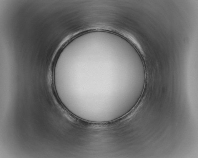 X0000112831040200908210935