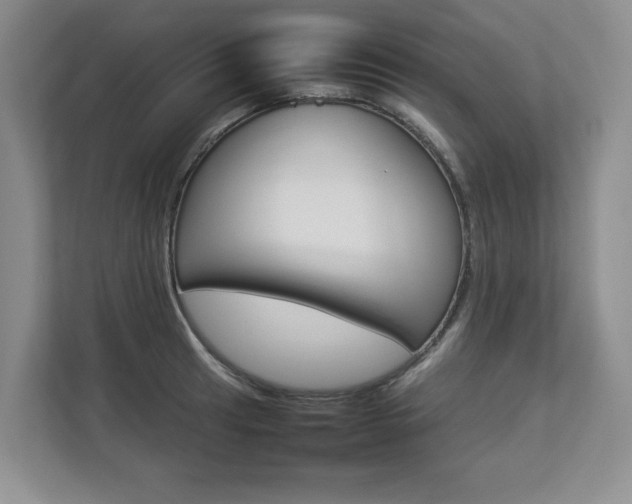 X0000112831041200908210935