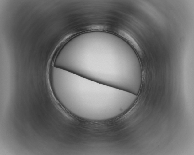 X0000112831043200908210935