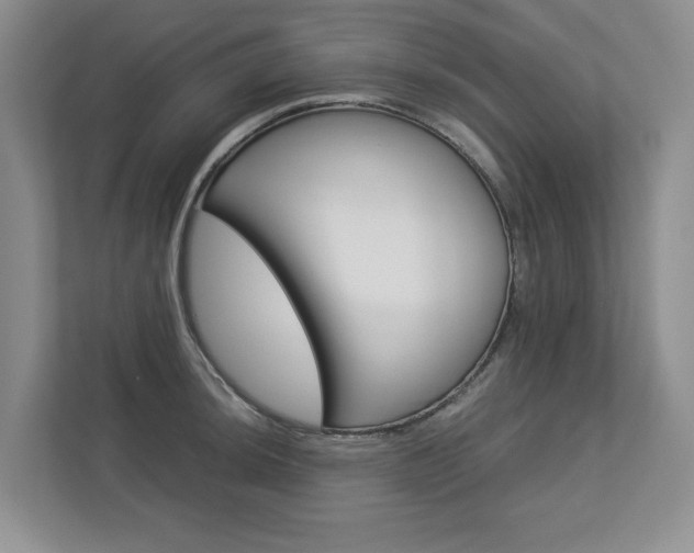 X0000112831044200908210935