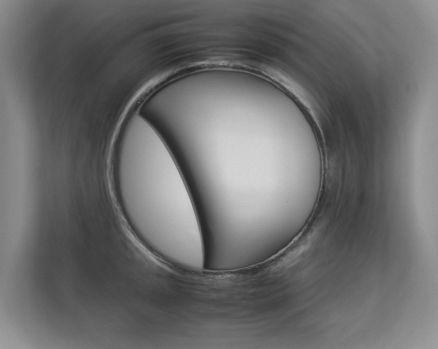 X0000112831045200908210935