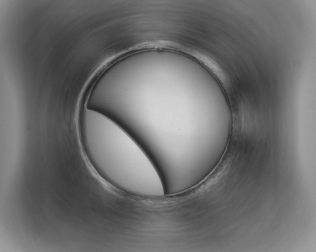 X0000112831046200908210935