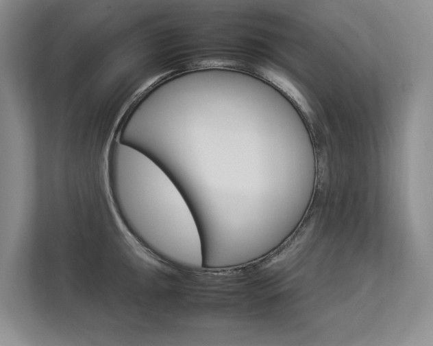 X0000112831047200908210935