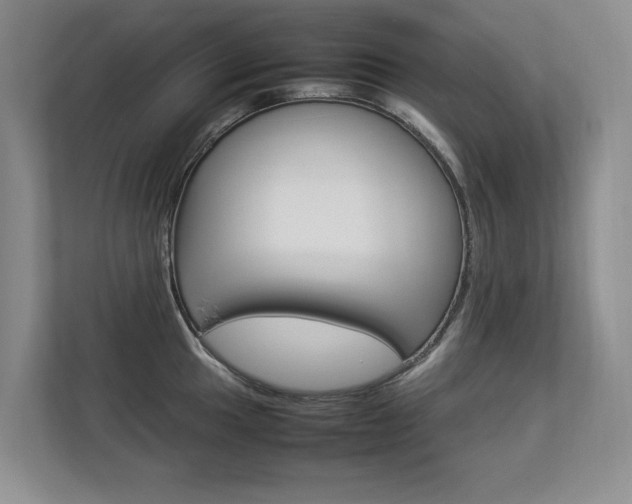 X0000112831049200908210935