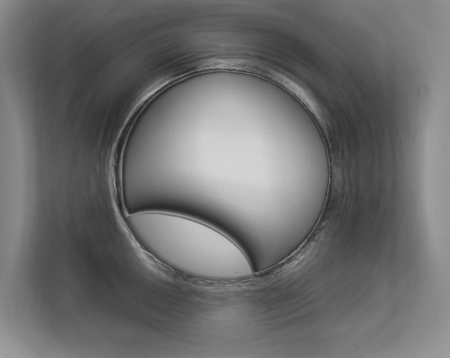 X0000112831050200908210935