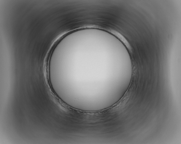 X0000112831051200908210935