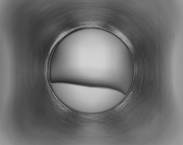 X0000112831052200908210935