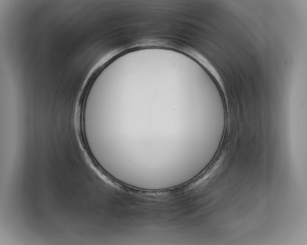 X0000112831053200908210935