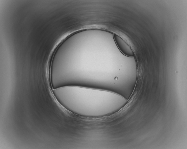 X0000112831054200908210935
