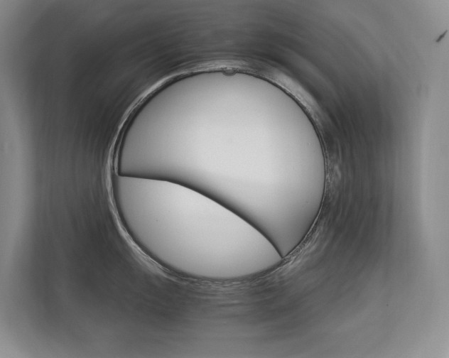 X0000112831055200908210935