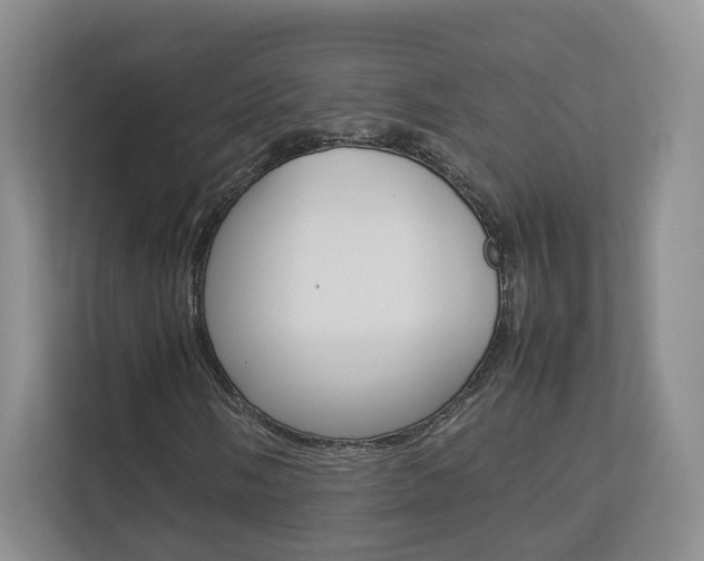 X0000112831058200908210934