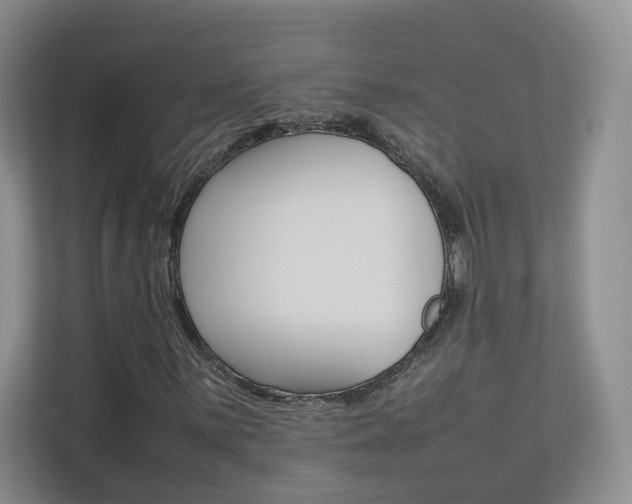 X0000112831059200908210934