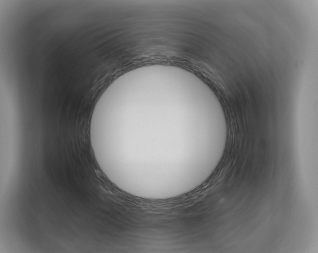 X0000112831060200908210934