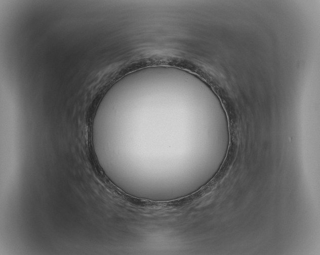 X0000112831061200908210934