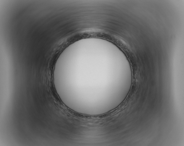 X0000112831062200908210934